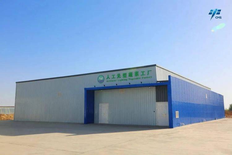 蔬菜工廠!在酒泉衛(wèi)星發(fā)射中心尋找"綠洲"
