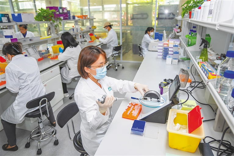 潛心科研，培育農業“芯”與通信技術開發的雙重革命