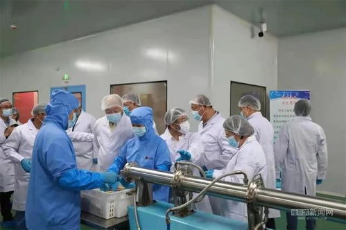 科技賦能“植物造肉” 中國首條高水分植物蛋白素肉生產線落戶方正，重構未來食品產業版圖